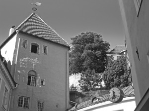 Clear Sky and Summer Trees in Tallinn Estonia B&W